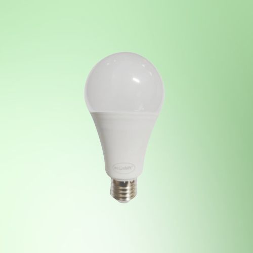 LED Bulb